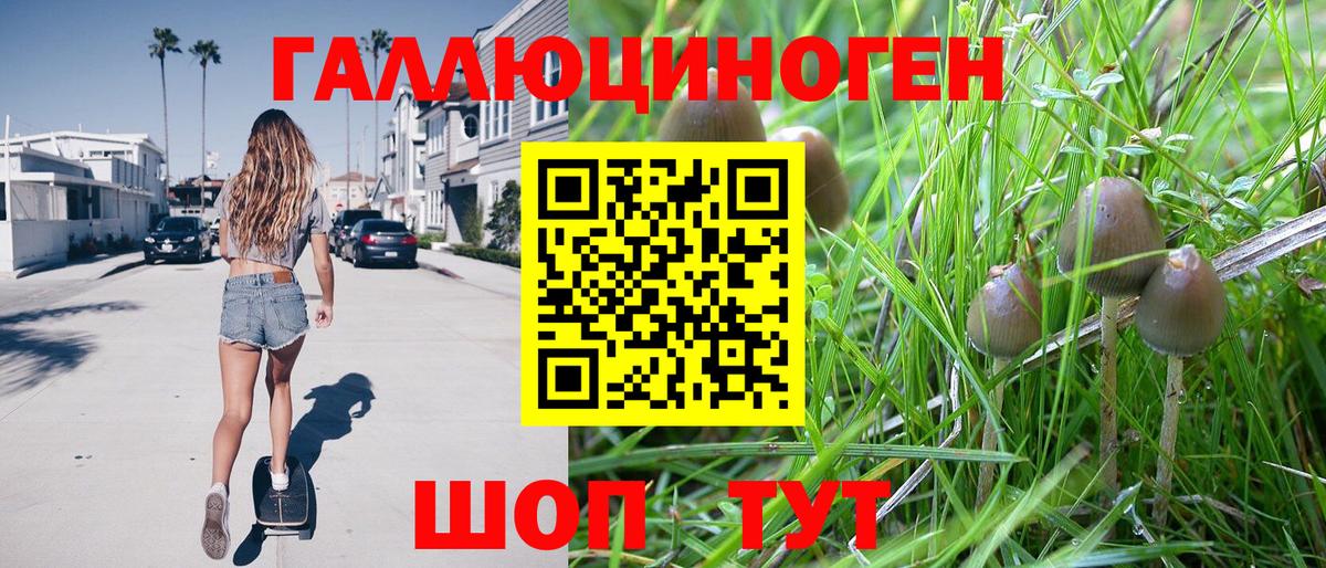 Галлюциногенные грибы MAGIC MUSHROOMS  Псилоцибиновые грибы GOLDEN TEACHER  Великие Луки  Вход с VPN 